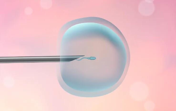 普遍囊胚移植美国试管婴儿着床率高并不是谣言