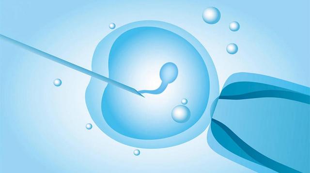 加拿大拉拉试管婴儿助孕指南一文带你了解同性试管婴儿流程