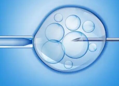 试管可以放两个胚胎的条件介绍成活率多高也要知道