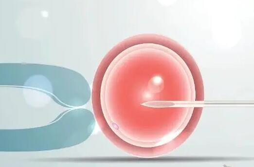 试管拮抗剂方案促排后移植鲜胚比冻胚成功率高吗